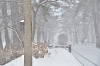 地吹雪の中に消えていくストーブ列車