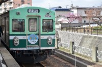 “さくら”ヘッドマークと梅