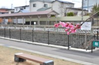 公園側からのホーム
