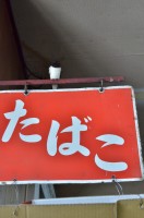 旧十和田観光電鉄三沢駅 鉄道は無くなってもツバメは毎年来てくれます
