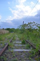 米軍専用線の廃線跡 生い茂る草と青空