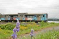 疾走する701系。この区間はスピードがのります。