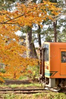 秋の芦野公園にて。