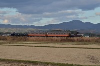 ディーゼル機関車+客車2両+貨車2両+タンク車。