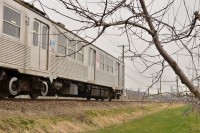 リンゴ園の中を走る列車
