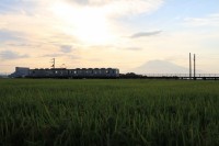 日中かかっていた雲も取れ 岩木山のシルエットが夕陽に照らし出されます