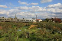 リンゴ園の中をゆっくりと進む列車