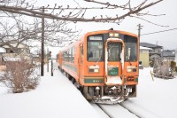 ホームにある桜の木と上りメロス号。春には花と列車の共演が見られそうですね。