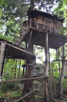 SLOWCAFE♯01の裏にあるツリーハウス。1棟ごとにバリエーションも様々なのでぜひ回ってほしいです。