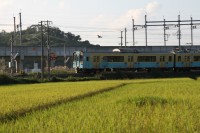 日が傾く時間もだんだんと早くなってきました。夕暮れの田んぼの中を列車が走っていきます。