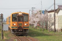 慎吾列車でおなじみの嘉瀬駅。線路沿いの桜も綺麗です。