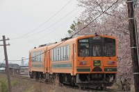満開の日に様子を見に行ったらたくさんのカメラマンが桜と津鉄を撮影していました。