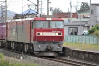 相当数が走る金太郎。超大編成が北を目指して走ります。