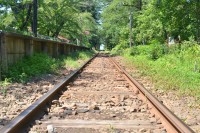 夏草の線路　芦野公園の踏切から