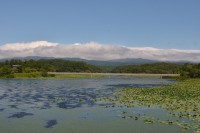 広々として気持ち良い大沢内の溜め池。地域の稲作を長年支えています