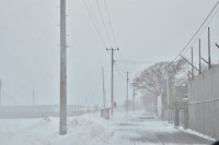 この日は吹雪いたかと思えば…