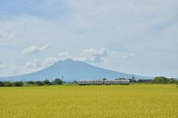 色づいた田んぼと津軽富士・岩木山。