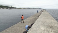 無心になって釣り竿を海に向ける。気が付いたら夢中になってました。