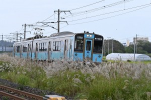 すすきの上を滑るように駆け抜けていく青い車体。