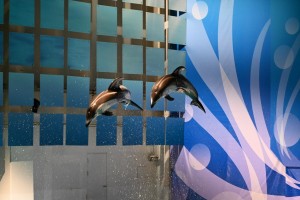 浅虫水族館といえば何といってもイルカのパフォーマンス！華麗な技で観客を魅了します。