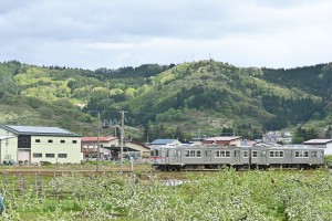 リンゴ園の横を走る７０００系。白い花がちょうど見頃