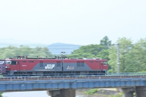 今回の写真のテーマは「流し撮り」 まずは金太郎から。