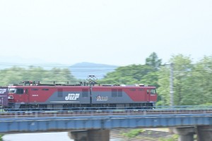 今回の写真のテーマは「流し撮り」　まずは金太郎から。