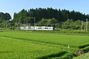 田園風景を走る列車。列車を待つ間に吹いてくる風が気持ち良かったです