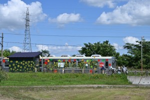 松木平駅のかかし達に出迎えられる列車。