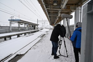 筒井駅にて。このカーブを駆け抜けてくる列車が大好きです。特に長編成の貨物列車は迫力があります。