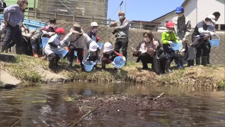 風間浦村の小学生がアユの放流体験学習　地域の自然や命の大切さ学ぶ