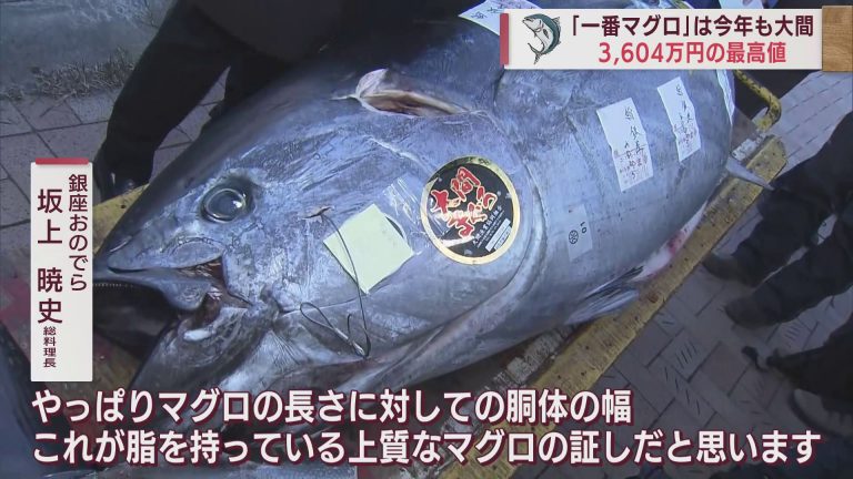 東京・豊洲市場で初競り　大間マグロが12年連続で一番マグロに