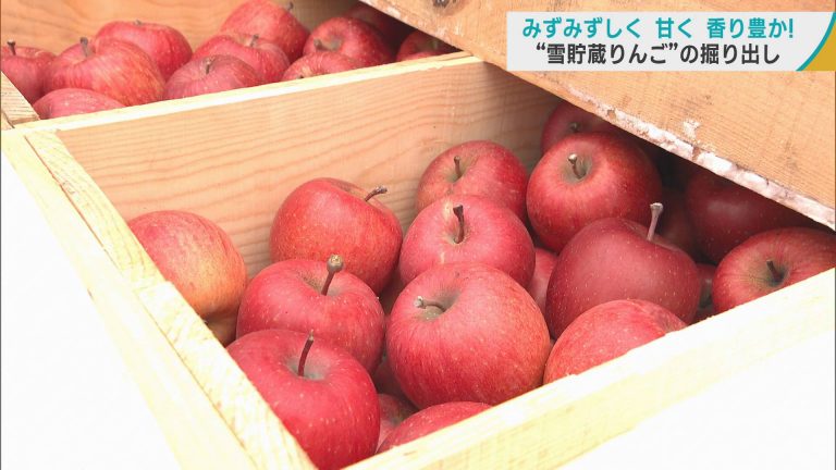 雪林檎様 お見積りページ 長野県産 りんご2品種 詰合せ 送料無料 | トミおじさんのりんご