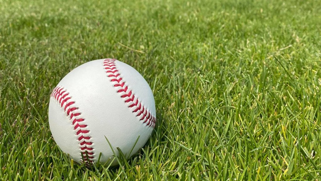 高校野球　夏の青森大会　11日の試合結果