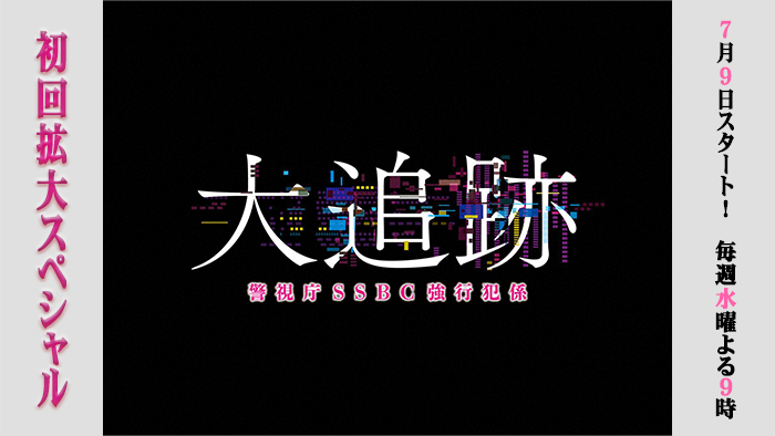 大追跡～警視庁SSBC強行犯係～