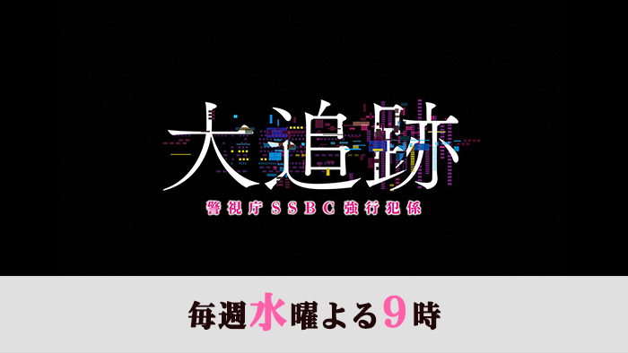 大追跡～警視庁SSBC強行犯係～