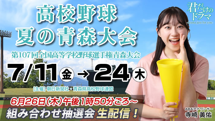 夏の高校野球