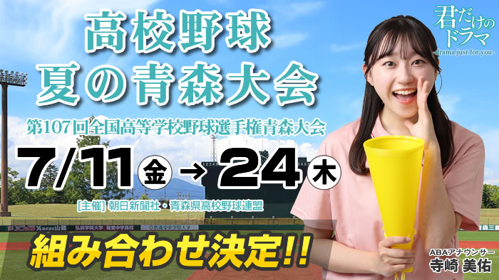 夏の高校野球