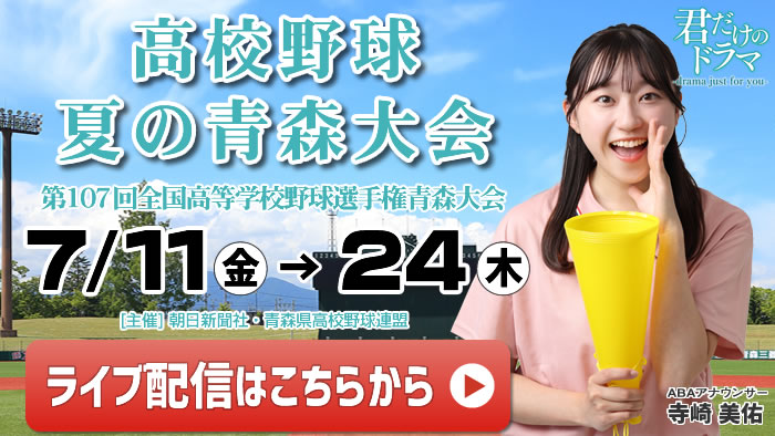 夏の高校野球