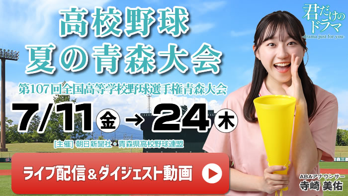 夏の高校野球