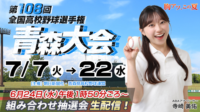 夏の高校野球
