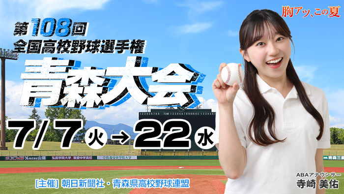 夏の高校野球