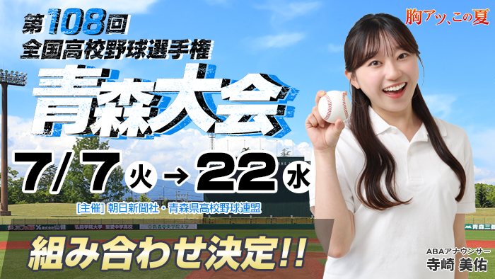 夏の高校野球